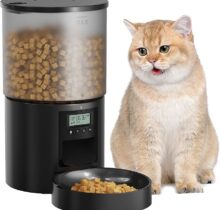 Cat Feeder