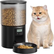 Cat Feeder