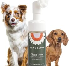 Dandylion Clean Paws