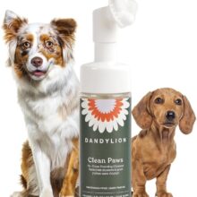 Dandylion Clean Paws