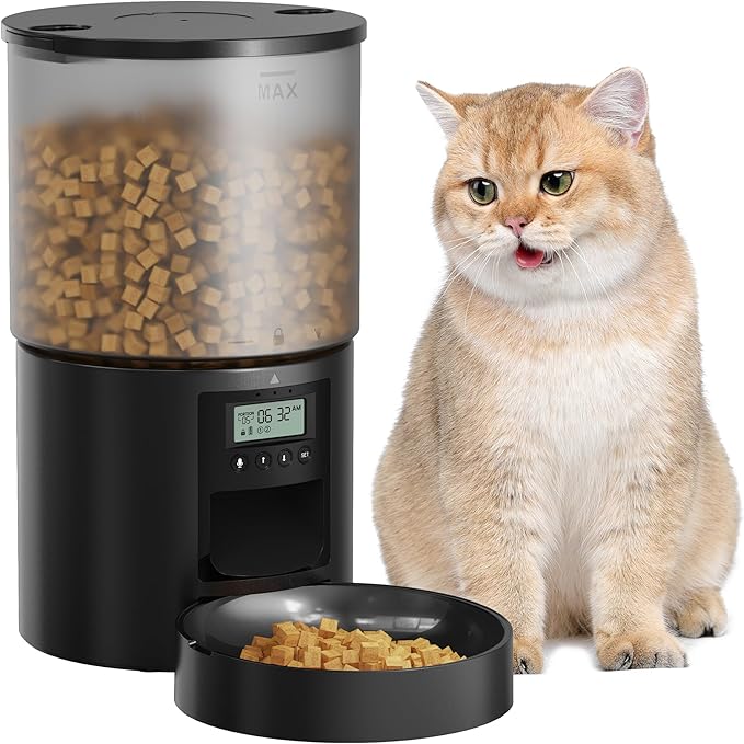 Cat Feeder
